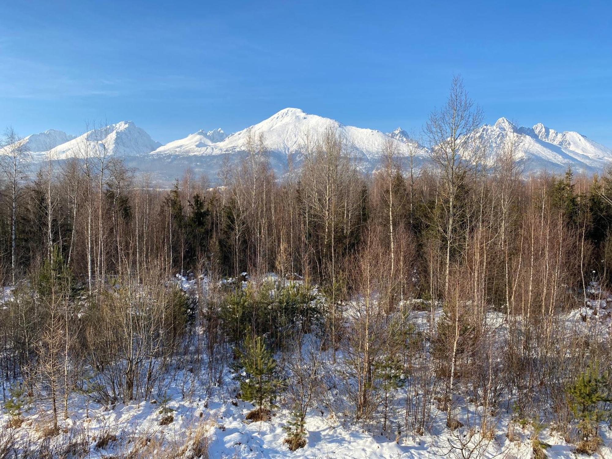 Apartman S Nadhernym Vyhladom Na Tatry Veľký Slavkov 외부 사진